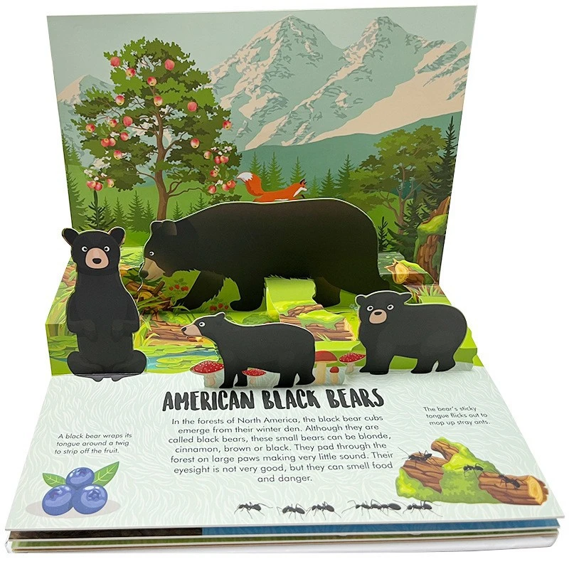 Siopa Leabhar Popup